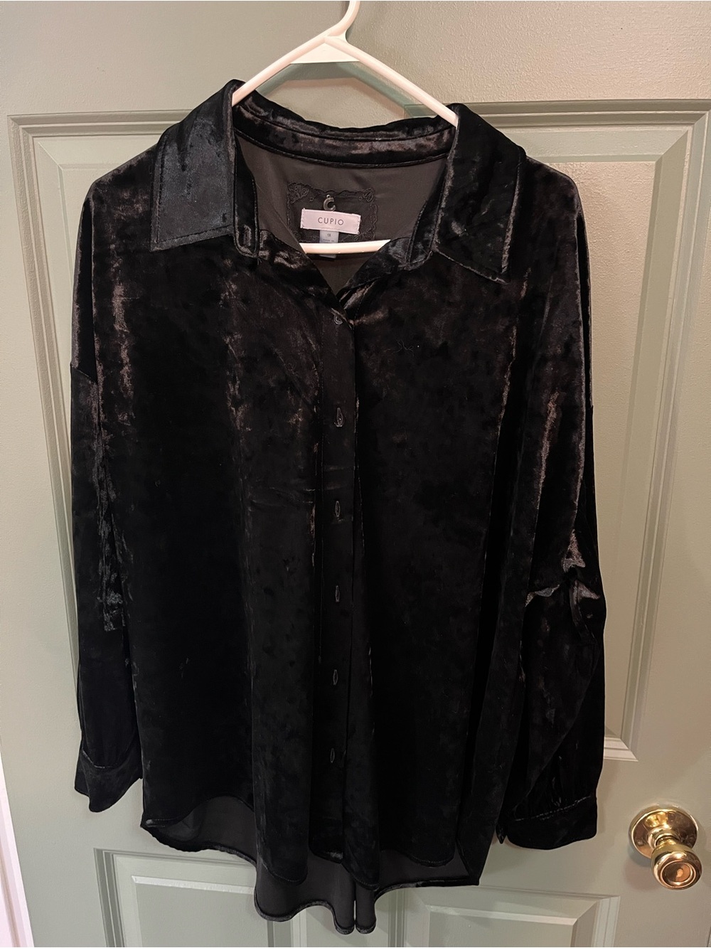 Cupio Black Velvet Button-Down Shirt